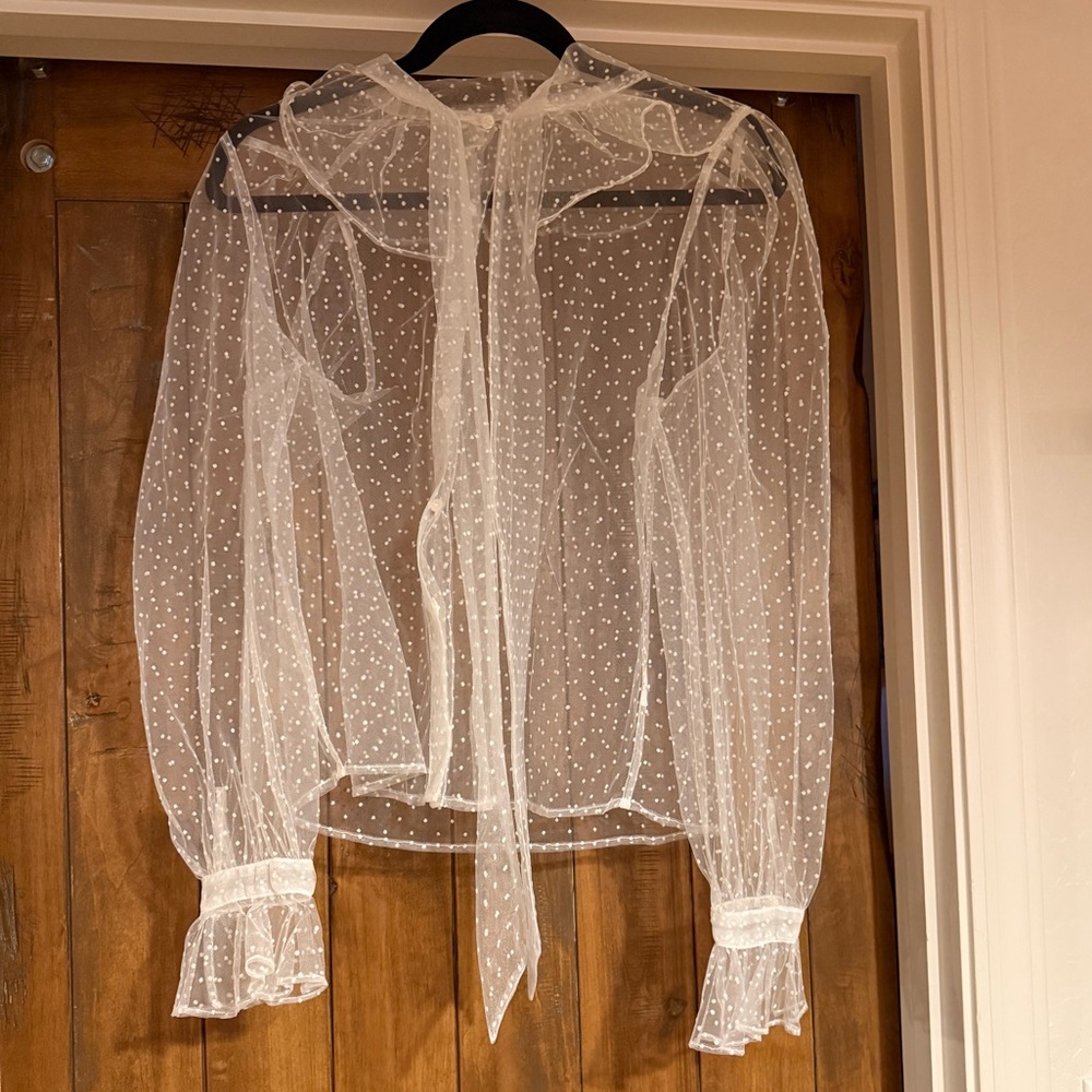 Anthropologie White Sheer Swiss Dot Tie-Neck Blouse
